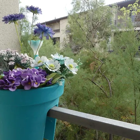 Le Jardin Bleu - Dormiratoulouse Basso Cambo アパート トゥールーズ