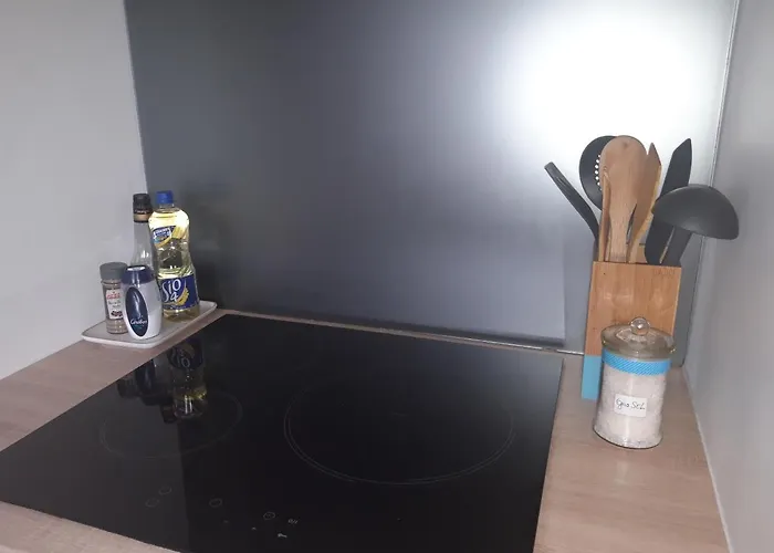 Le Jardin Bleu - Dormiratoulouse Basso Cambo アパート