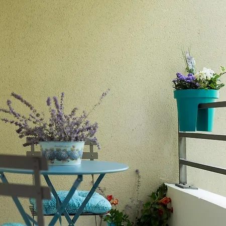 Le Jardin Bleu - Dormiratoulouse Basso Cambo Toulouse